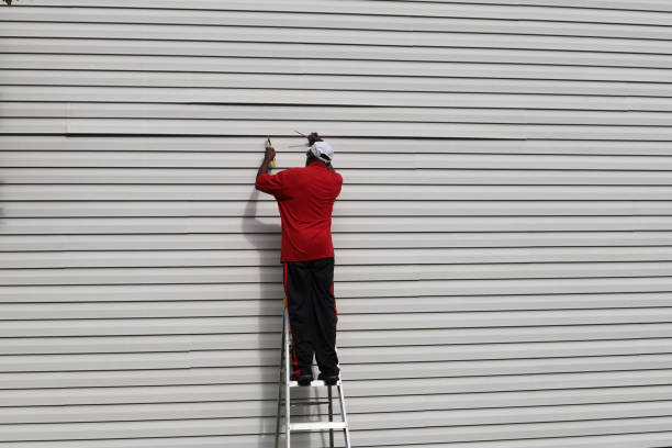 Best Aluminum Siding Installation  in Baldwin, MI